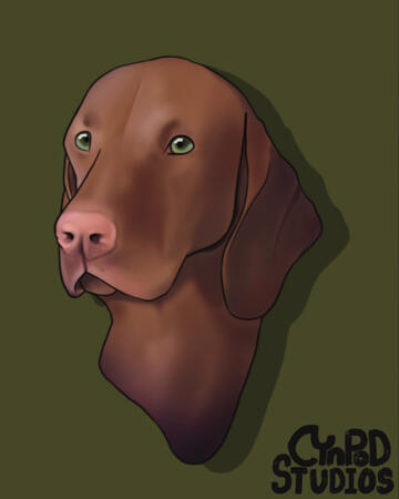 Tucker Tucker